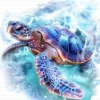 Sea Turtle Hawksbill Loggerhead Clipart Bundle Printable Marine Reptile Digital Download