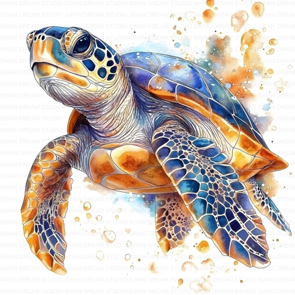 Sea Turtle Hawksbill Loggerhead Clipart Bundle Printable Marine Reptile Digital Download