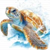 Sea Turtle Hawksbill Loggerhead Clipart Bundle Printable Marine Reptile Digital Download