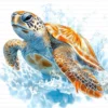 Sea Turtle Hawksbill Loggerhead Clipart Bundle Printable Marine Reptile Digital Download