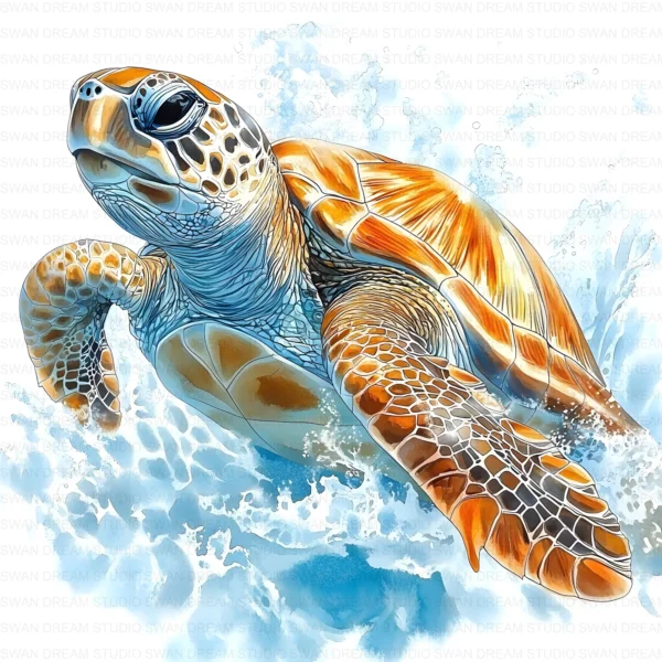 Sea Turtle Hawksbill Loggerhead Clipart Bundle Printable Marine Reptile Digital Download