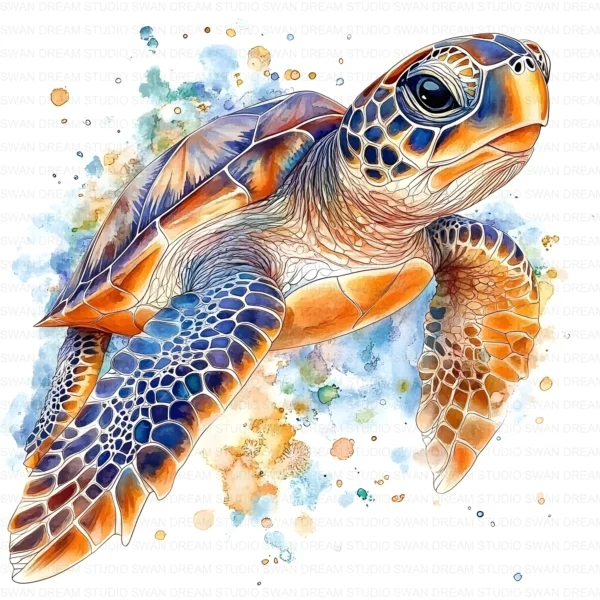 Sea Turtle Hawksbill Loggerhead Clipart Bundle Printable Marine Reptile Digital Download