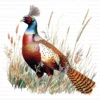 Pheasant Bird Phasianidae Clipart Bundle Printable Wildlife Beak Card Making