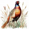 Pheasant Bird Phasianidae Clipart Bundle Printable Wildlife Beak Card Making