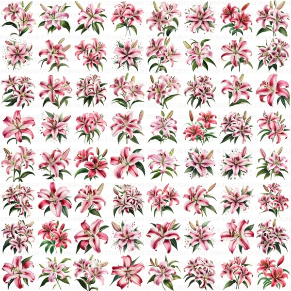 ClipartC18L_t13 128 Stargazer Lily Clipart Bundle Whimsical Pink Floral Digital Paper Scrapbooking Printable Crafts