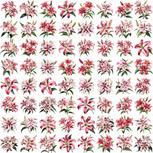 ClipartC18L_t14 128 Stargazer Lily Clipart Bundle Whimsical Pink Floral Digital Paper Scrapbooking Printable Crafts