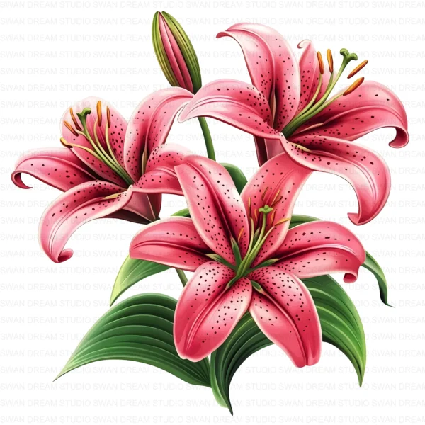 ClipartC18L_t2 128 Stargazer Lily Clipart Bundle Whimsical Pink Floral Digital Paper Scrapbooking Printable Crafts