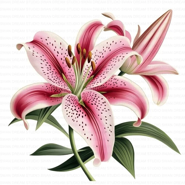 ClipartC18L_t6 128 Stargazer Lily Clipart Bundle Whimsical Pink Floral Digital Paper Scrapbooking Printable Crafts