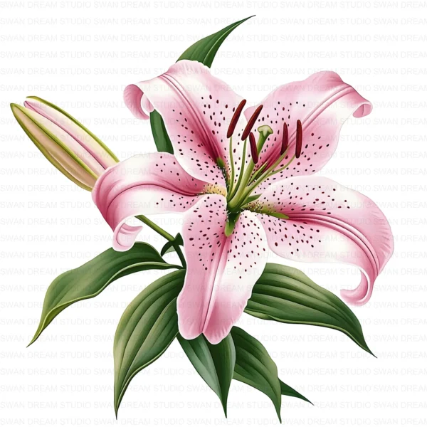 ClipartC18L_t9 128 Stargazer Lily Clipart Bundle Whimsical Pink Floral Digital Paper Scrapbooking Printable Crafts