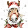 ClipartC2L_t3 Christmas Quirky Horse Pony Clipart Bundle Printable Santa Hat Paper Craft Scrapbooking Digital Download