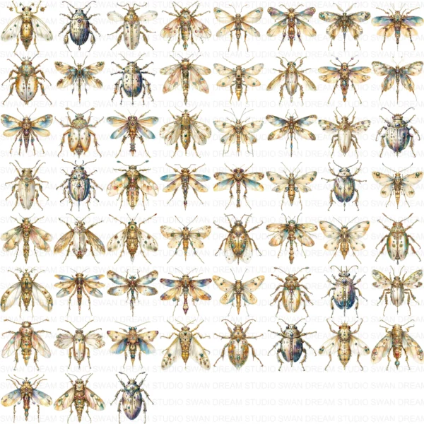 Jewel Beetle Insect Clipart Bundle Printable Pest Arthropod Card Making