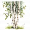 ClipartC4L_t1 112 Close Up Birch Tree Trunks Clipart Bundle Printable Whimsical JPG Junk Journal Scrapbooking Digital Download