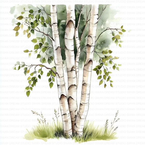 ClipartC4L_t1 112 Close Up Birch Tree Trunks Clipart Bundle Printable Whimsical JPG Junk Journal Scrapbooking Digital Download