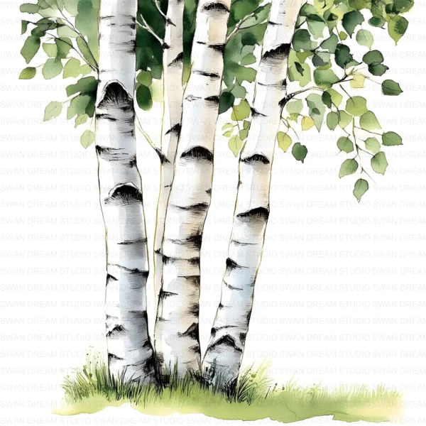 ClipartC4L_t10 112 Close Up Birch Tree Trunks Clipart Bundle Printable Whimsical JPG Junk Journal Scrapbooking Digital Download