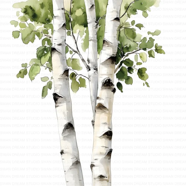 ClipartC4L_t2 112 Close Up Birch Tree Trunks Clipart Bundle Printable Whimsical JPG Junk Journal Scrapbooking Digital Download