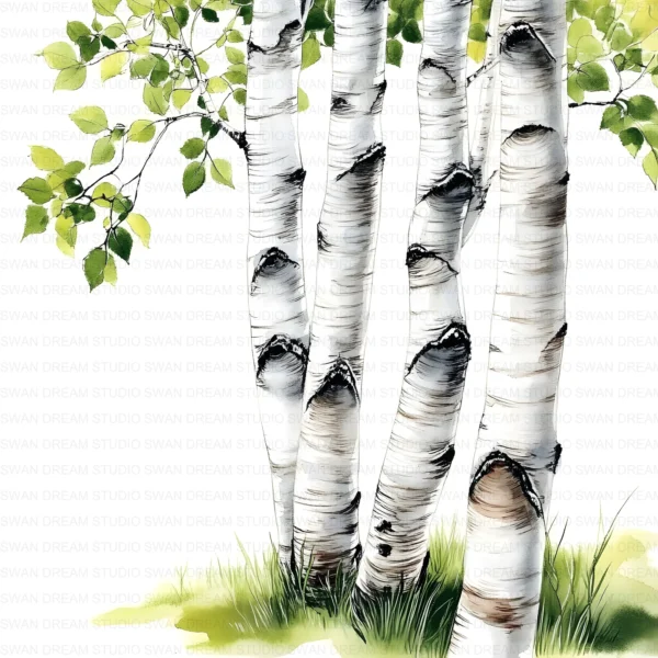 ClipartC4L_t3 112 Close Up Birch Tree Trunks Clipart Bundle Printable Whimsical JPG Junk Journal Scrapbooking Digital Download
