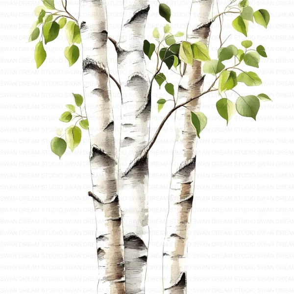 ClipartC4L_t4 112 Close Up Birch Tree Trunks Clipart Bundle Printable Whimsical JPG Junk Journal Scrapbooking Digital Download
