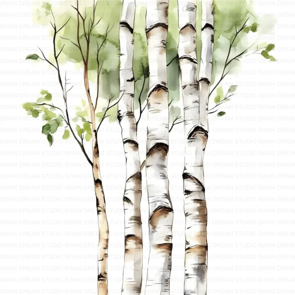 ClipartC4L_t5 112 Close Up Birch Tree Trunks Clipart Bundle Printable Whimsical JPG Junk Journal Scrapbooking Digital Download