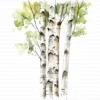 ClipartC4L_t6 112 Close Up Birch Tree Trunks Clipart Bundle Printable Whimsical JPG Junk Journal Scrapbooking Digital Download