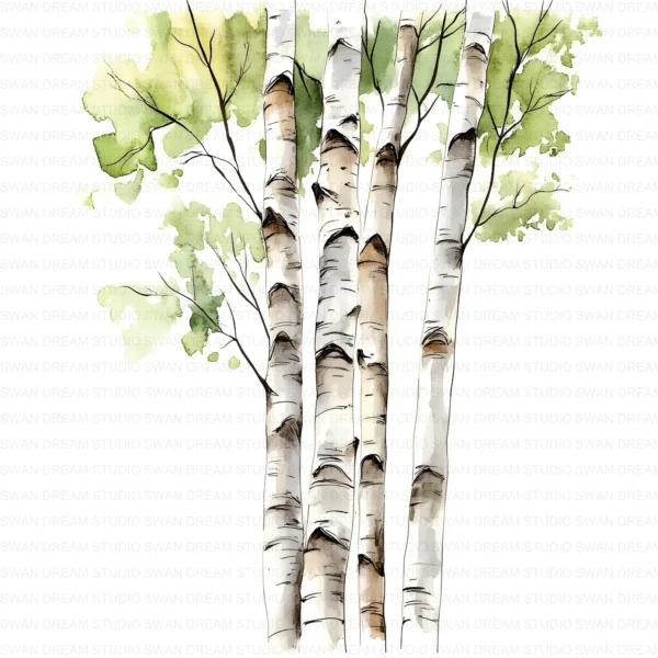 ClipartC4L_t6 112 Close Up Birch Tree Trunks Clipart Bundle Printable Whimsical JPG Junk Journal Scrapbooking Digital Download
