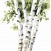 ClipartC4L_t7 112 Close Up Birch Tree Trunks Clipart Bundle Printable Whimsical JPG Junk Journal Scrapbooking Digital Download