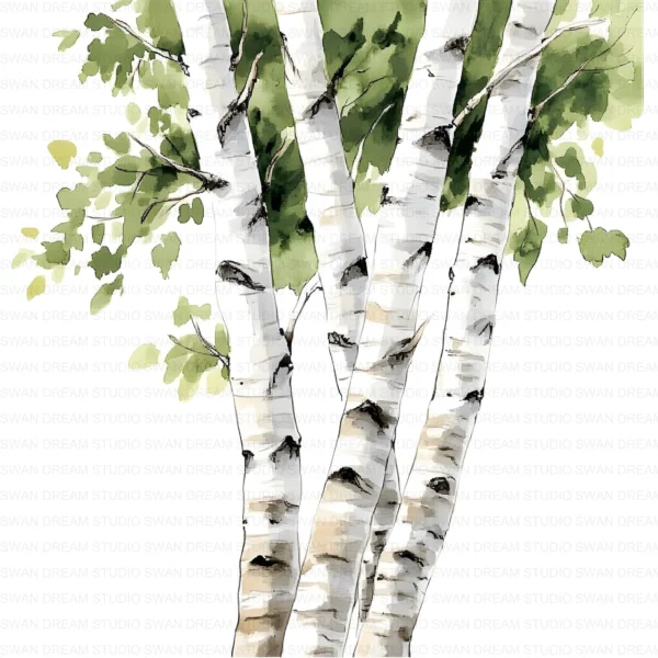 ClipartC4L_t7 112 Close Up Birch Tree Trunks Clipart Bundle Printable Whimsical JPG Junk Journal Scrapbooking Digital Download