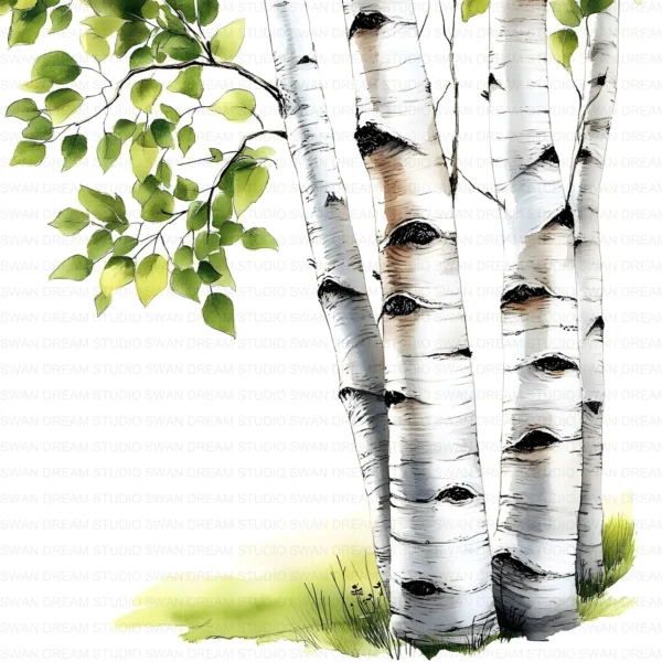 ClipartC4L_t8 112 Close Up Birch Tree Trunks Clipart Bundle Printable Whimsical JPG Junk Journal Scrapbooking Digital Download