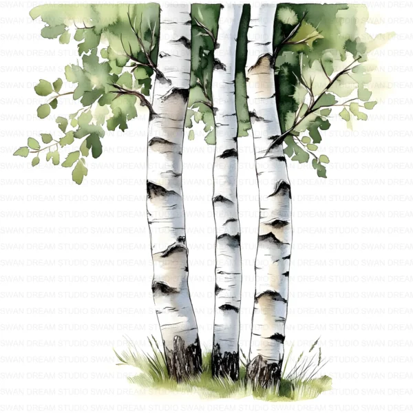 ClipartC4L_t9 112 Close Up Birch Tree Trunks Clipart Bundle Printable Whimsical JPG Junk Journal Scrapbooking Digital Download