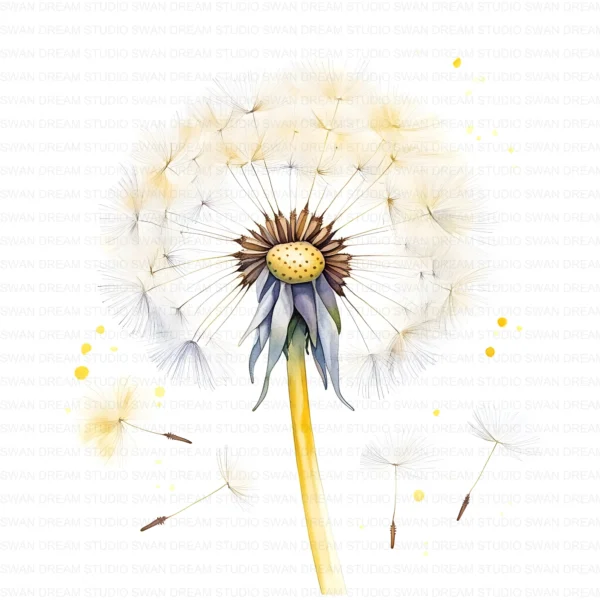 Dandelion Wildflower Clipart Bundle Printable Botanical Pedicel Card Making