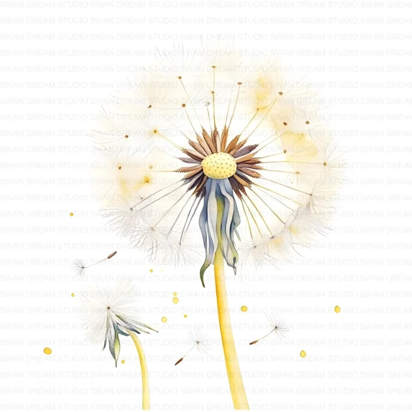 Dandelion Wildflower Clipart Bundle Printable Botanical Pedicel Card Making