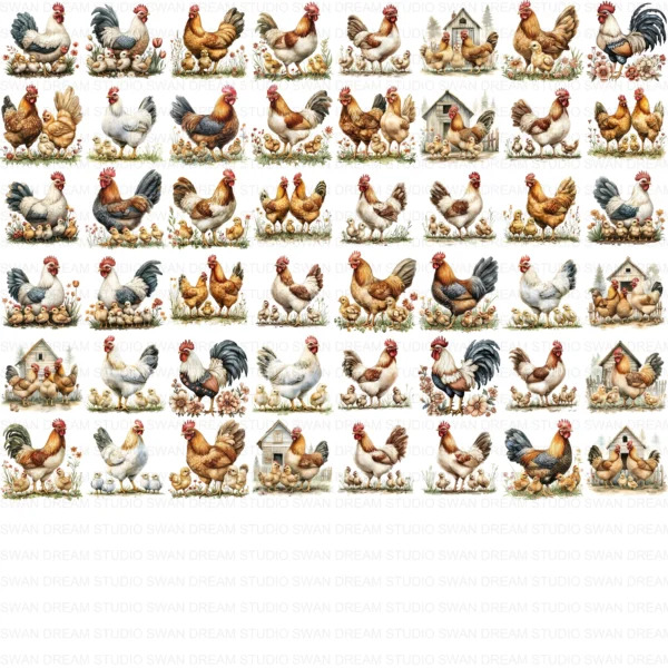 Quirky Chicken Family Clipart Bundle Rooster Chick Phasianidae Bird Printable Farm Beak Paper Craft