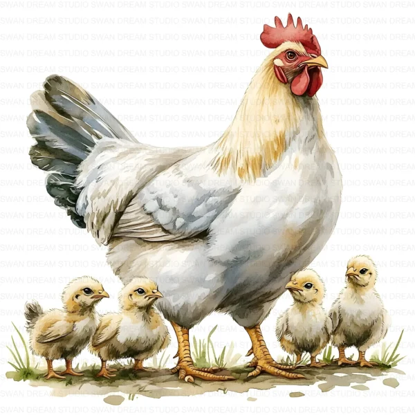 Quirky Chicken Family Clipart Bundle Rooster Chick Phasianidae Bird Printable Farm Beak Paper Craft