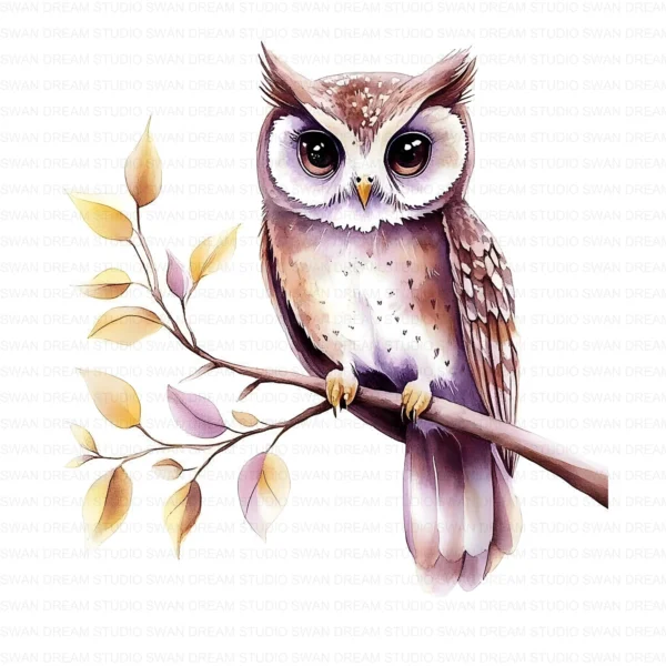 Floral Owl Bird Woodland Nature Clipart Bundle Printable JPG Card Making Paper Craft Junk Journal Scrapbooking Digital Download