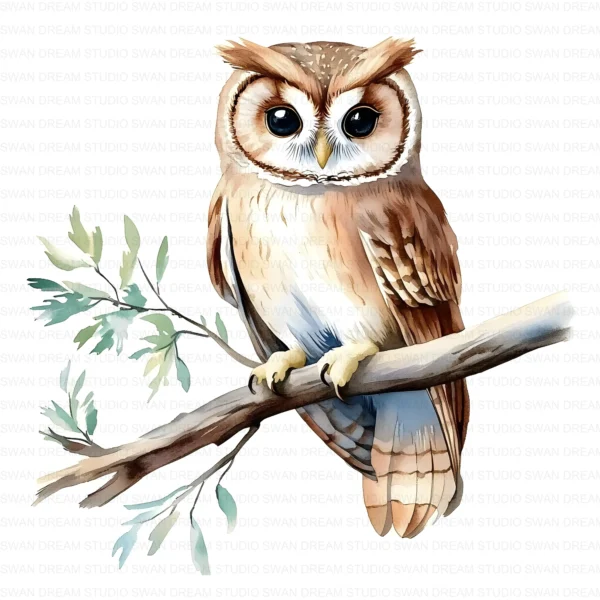 Floral Owl Bird Woodland Nature Clipart Bundle Printable JPG Card Making Paper Craft Junk Journal Scrapbooking Digital Download