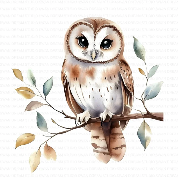 Floral Owl Bird Woodland Nature Clipart Bundle Printable JPG Card Making Paper Craft Junk Journal Scrapbooking Digital Download