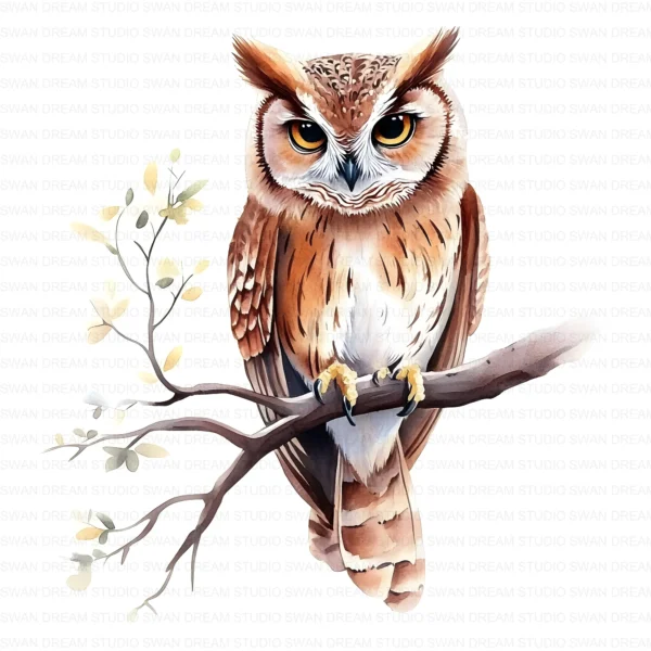 Floral Owl Bird Woodland Nature Clipart Bundle Printable JPG Card Making Paper Craft Junk Journal Scrapbooking Digital Download