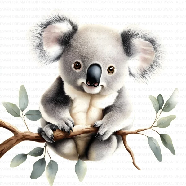 Koala Bear Cute Australian Animal Clipart Bundle Printable JPG Card Making Paper Craft Junk Journal Scrapbooking Digital Download