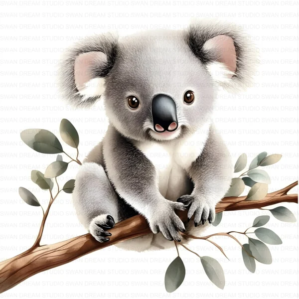 Koala Bear Cute Australian Animal Clipart Bundle Printable JPG Card Making Paper Craft Junk Journal Scrapbooking Digital Download