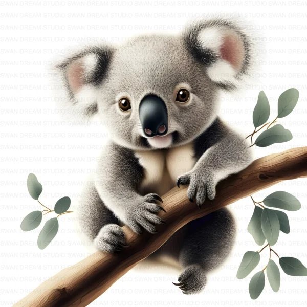 Koala Bear Cute Australian Animal Clipart Bundle Printable JPG Card Making Paper Craft Junk Journal Scrapbooking Digital Download