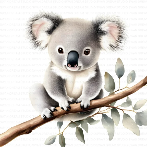 Koala Bear Cute Australian Animal Clipart Bundle Printable JPG Card Making Paper Craft Junk Journal Scrapbooking Digital Download