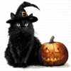 ClipartD16L_t8 Halloween Black Cat Pumpkin Spooky Autumn Clipart Bundle Printable JPG Card Making Paper Craft Junk Journal Scrapbooking Digital Download