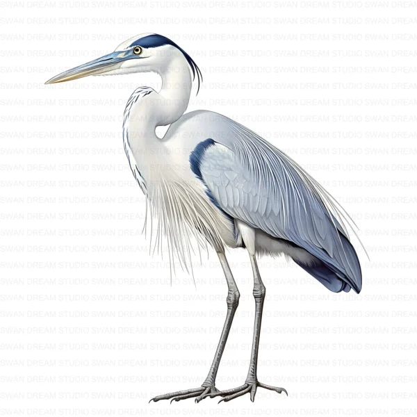 ClipartD17L_t1 Blue Heron Bird Wildlife Nature Clipart Bundle Printable JPG Card Making Paper Craft Junk Journal Scrapbooking Digital Download