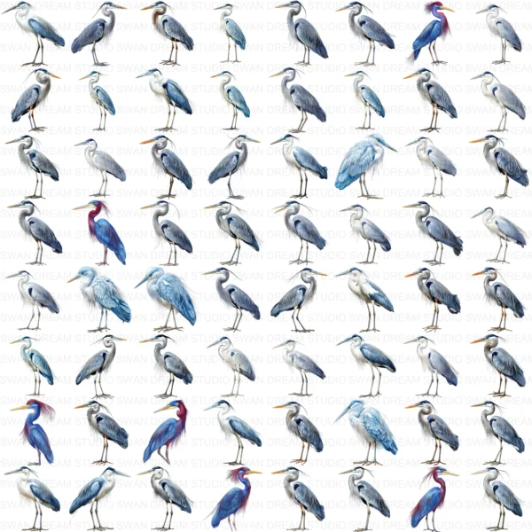 ClipartD17L_t13 Blue Heron Bird Wildlife Nature Clipart Bundle Printable JPG Card Making Paper Craft Junk Journal Scrapbooking Digital Download