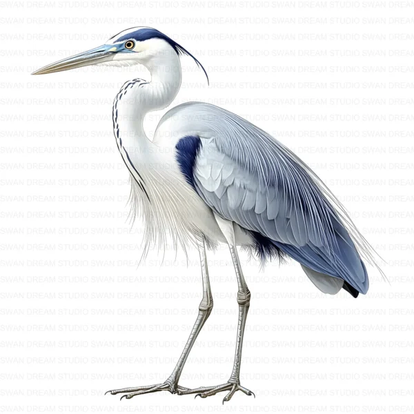 ClipartD17L_t3 Blue Heron Bird Wildlife Nature Clipart Bundle Printable JPG Card Making Paper Craft Junk Journal Scrapbooking Digital Download