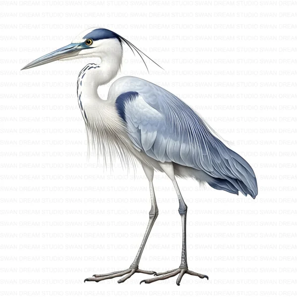 ClipartD17L_t4 Blue Heron Bird Wildlife Nature Clipart Bundle Printable JPG Card Making Paper Craft Junk Journal Scrapbooking Digital Download