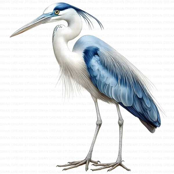 ClipartD17L_t5 Blue Heron Bird Wildlife Nature Clipart Bundle Printable JPG Card Making Paper Craft Junk Journal Scrapbooking Digital Download