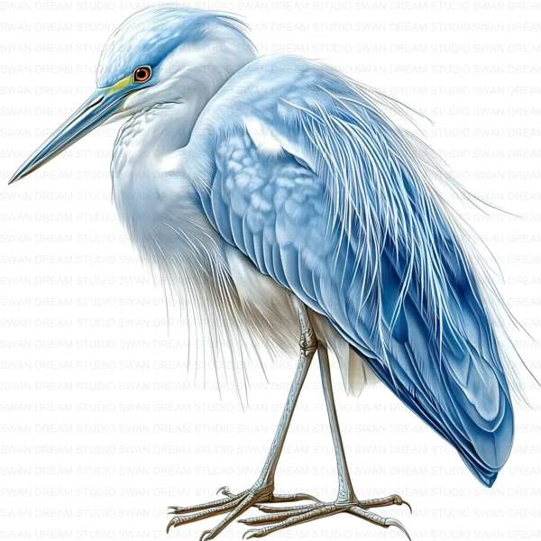 ClipartD17L_t7 Blue Heron Bird Wildlife Nature Clipart Bundle Printable JPG Card Making Paper Craft Junk Journal Scrapbooking Digital Download