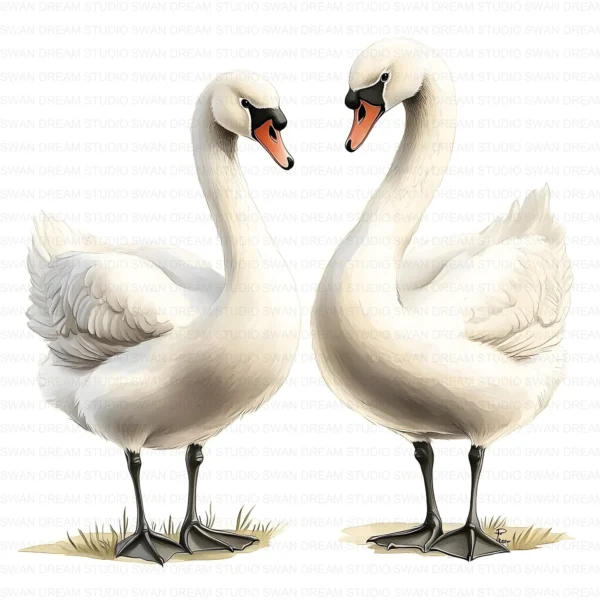 White Swan Elegant Bird Nature Clipart Bundle Printable JPG Card Making Paper Craft Junk Journal Scrapbooking Digital Download