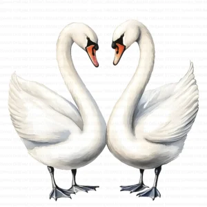 White Swan Elegant Bird Nature Clipart Bundle Printable JPG Card Making Paper Craft Junk Journal Scrapbooking Digital Download