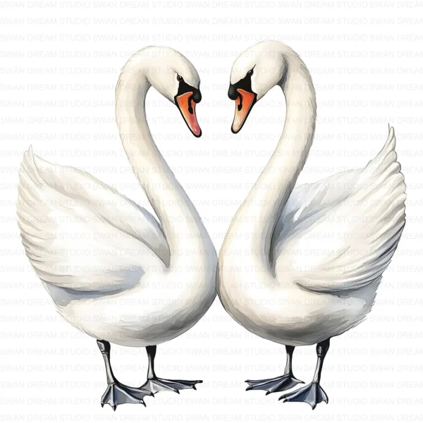 White Swan Elegant Bird Nature Clipart Bundle Printable JPG Card Making Paper Craft Junk Journal Scrapbooking Digital Download